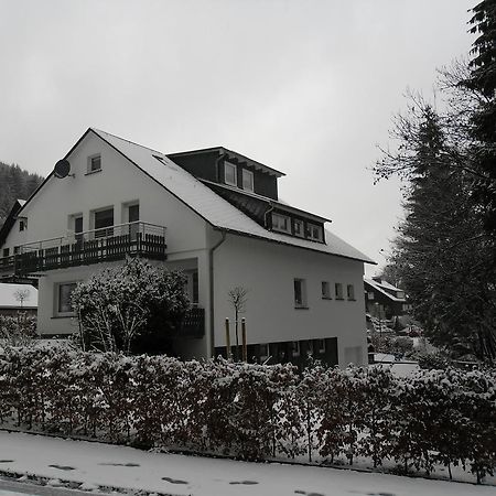 Ferienwohnung Haus Kloosterman Winterberg Exteriör bild