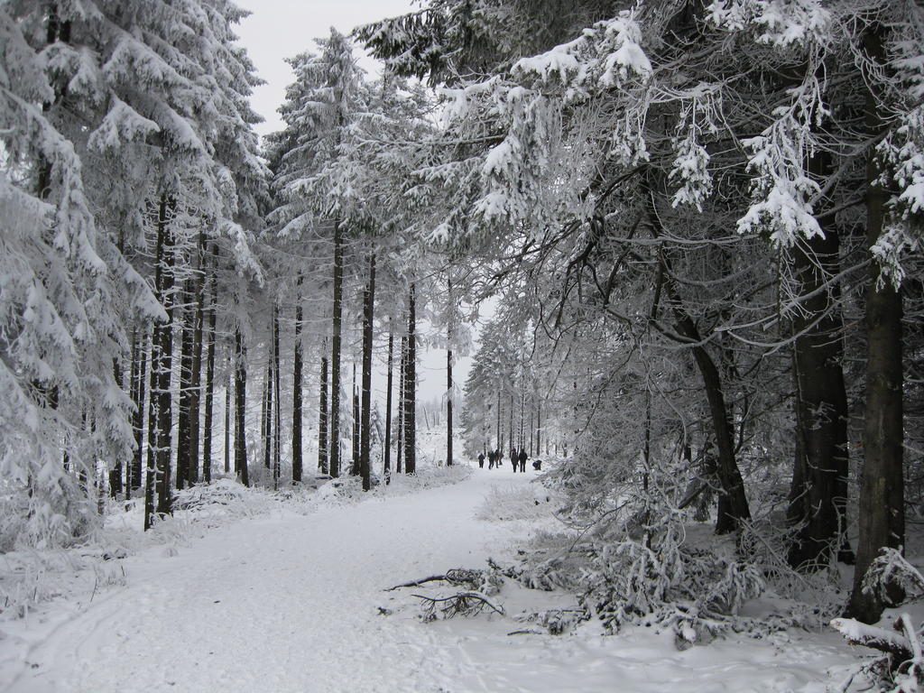 Ferienwohnung Haus Kloosterman Winterberg Exteriör bild