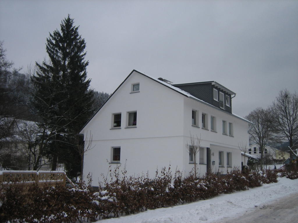 Ferienwohnung Haus Kloosterman Winterberg Exteriör bild